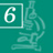 6.6.png
